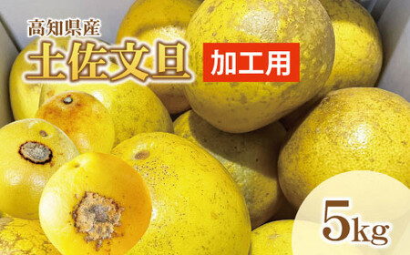 [先行予約][訳あり]土佐文旦 加工用(M〜5L混合)約5kg[2027年2月中旬〜発送]/ 文旦 5キロ 約8〜15玉 ぶんたん ブンタン 柑橘 果物 フルーツ お取り寄せ[株式会社とさもん] [BQAE033]