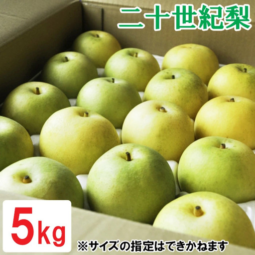 鳥取県産 二十世紀梨　5kg