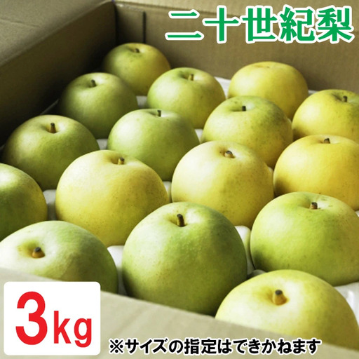 鳥取県産 二十世紀梨　3kg