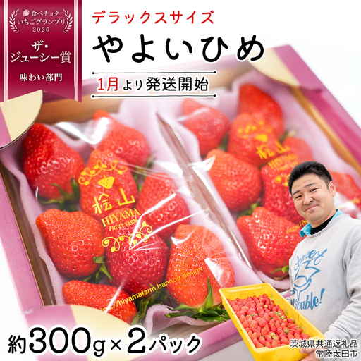 「食べチョクいちごグランプリ2026」味わい部門「ザ・ジューシー賞」受賞 やよいひめ ( 2パック ) 特大 デラックス サイズ 【 2027年1月から発送開始 】  （常陸太田市 共通返礼品 ) 