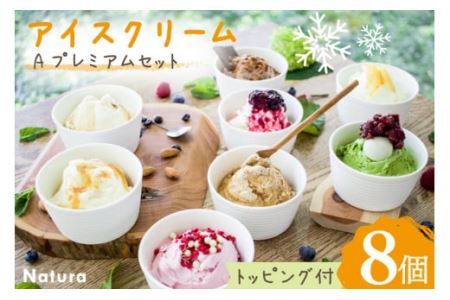 アイス 詰め合わせ ナチューラのアイスクリーム Ａプレミアム セット×８個入り