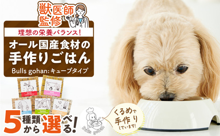 ペットフード 無添加ドッグフード・ブルズごはんCUBEタイプ 300g×1袋(馬・豚・鹿・鶏・魚の中から1つ)_CUBE型 20個入×1袋 無添加ドッグフード 300g(馬肉・豚肉・鹿肉・鶏肉・魚の中から1つ) 国産 手作り アレルギー ウェット 子犬 シニア犬 冷凍 ヒューマングレード 老犬 小型犬 お試し 選べる ペットフード ブルズごはん 〔Pf001〕