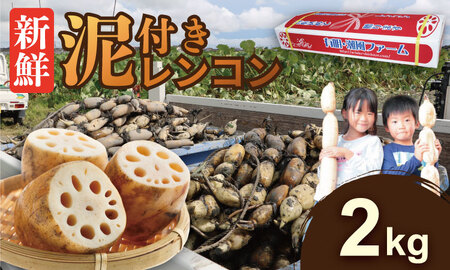 【先行予約】佐賀県産泥付きレンコン（2kg） 蓮根 レンコン 野菜 れんこん A070-029