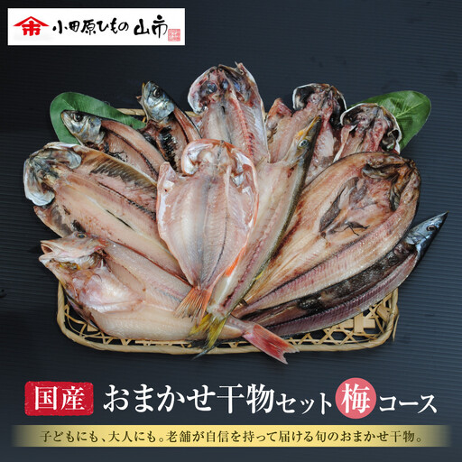 【国産】おまかせ干物セット 梅コース【お取り寄せ 海鮮 グルメ ギフト プレゼント 産地直送 産直 魚 手作り ひもの 詰め合わせ お中元 お歳暮 父の日 母の日 誕生日 自宅用 贈答品 贈答用 朝食 バーベキュー 神奈川県 小田原市 】