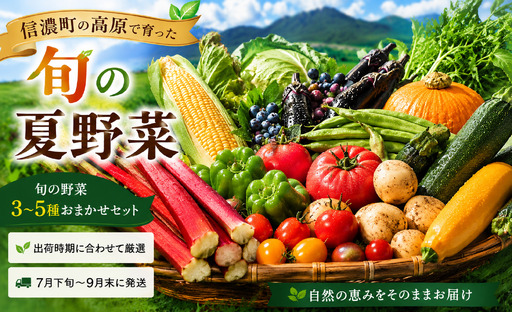 朝採り高原夏野菜3?5種おまかせセット（7月下旬以降発送）【長野県 信州 信濃町ふるさと納税 ／道の駅しなの】
