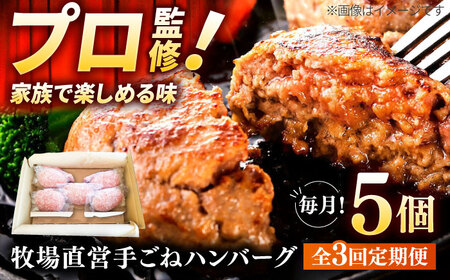 【3回定期便】自家製ハンバーグ5個 / ハンバーグ [IAX057]