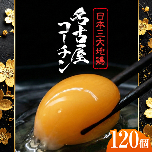 名古屋コーチン 卵 120個(10個入×12パック)(保証20個含) / 卵 たまご 玉子 鶏卵 名古屋コーチン / 稲沢市 / 櫛田養鶏場 [BMAY002]