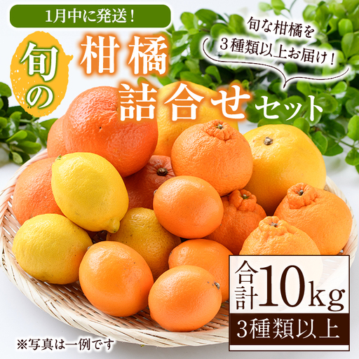 [2027年1月発送分!]旬の柑橘詰合せセット (約10kg) 国産 鹿児島県 阿久根市 果実 果物 フルーツ 柑橘 みかん ミカン 旬 詰め合わせ セット[桐野柑橘株式会社]akn070-16-m01