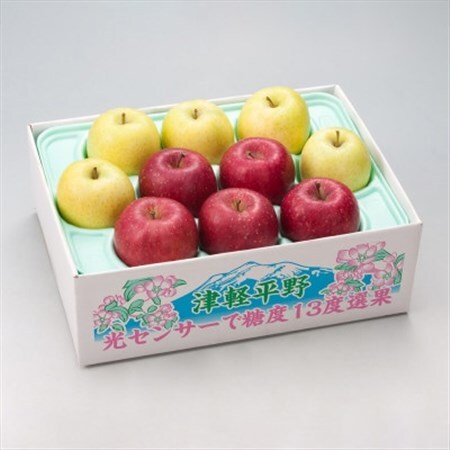 【令和8年産・先行予約】糖度13度選果 サンふじ＆王林 約2.5kg　鮮度保持剤・保存用ポリ袋付_果物・フルーツ りんご  リンゴ 林檎_【配送不可地域：離島・沖縄県】【1508209】