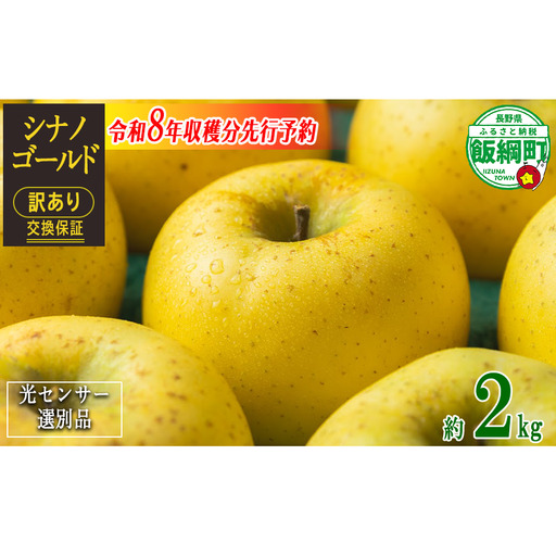 [ 感謝りんご / 光センサー選別品 ] りんご シナノゴールド 訳あり 2kg ( 5玉 〜 12玉 ) 交換保証 ながの農業協同組合 沖縄県への配送不可 2026年11月上旬頃から2026年11月下旬頃まで順次発送予定 令和8年度収穫分 傷 不揃い リンゴ 林檎 果物 フルーツ 信州 長野 予約 長野県 飯綱町 [1868]