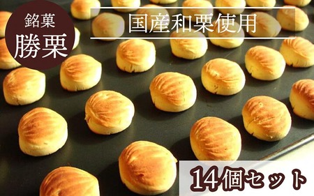 京都の縁起菓子 勝栗 14個セット 和菓子 和菓子
