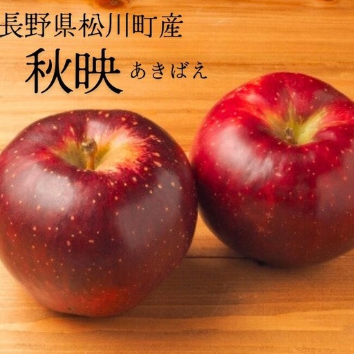 KR08 りんご 秋映（大玉）約5kg 贈答 / 2026年10月上旬頃～配送予定 // 長野県 南信州 松川町産 ギフト リンゴ 林檎 あきばえ 農家直送 農家支援 産地直送