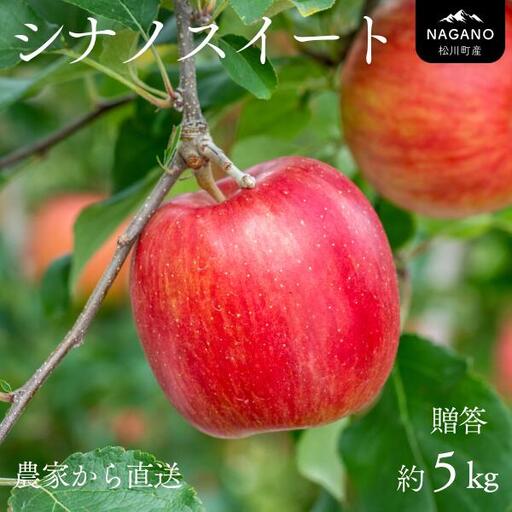 りんご シナノスイート 贈答【大玉】約5kg（8～13玉） / 10月中旬頃～配送予定 // 長野県 南信州 ギフト 贈答 リンゴ 林檎 農家直送 農家支援 産地直送