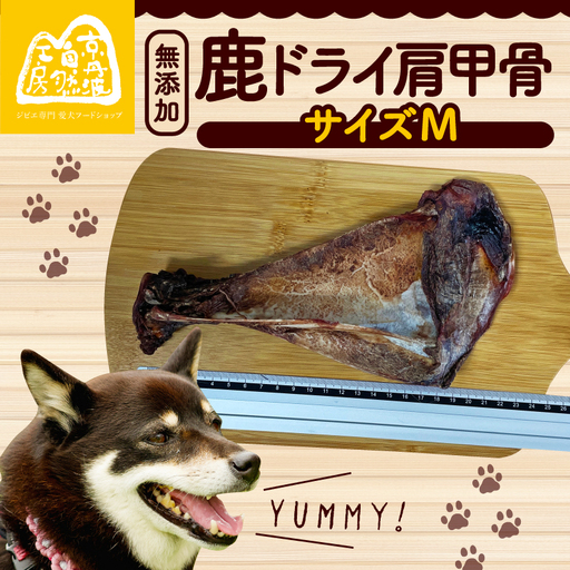 [ ペット用品 ]鹿ドライ肩甲骨 Mサイズ