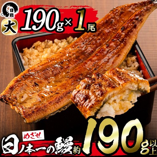 ＜肝串3本付き！＞日ノ本一の鰻の蒲焼き＜大＞1尾(約190g以上) うなぎ 鰻 ウナギ 国産 鹿児島県産 九州産 蒲焼き 冷凍 うな重 ひつまぶし a3-202-km
