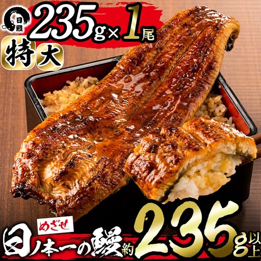 ＜期間限定規格＞日ノ本一の鰻の蒲焼き＜特大＞1尾(約235g以上) うなぎ 鰻 ウナギ 国産 鹿児島県産 九州産 蒲焼き 冷凍 うな重 ひつまぶし a4-071-sbs