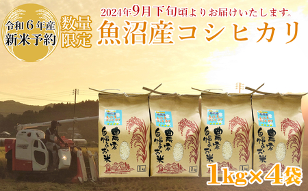 ※使用しない M10P236 【令和6年産 新米予約】《数量限定》令和6年産 魚沼産コシヒカリ1kg×4袋 精米（宮内農園）早期受付 2024年9月下旬頃から発送開始 白米 魚沼 米