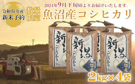 ※使用しない M19P238 【令和6年産 新米予約】《数量限定》令和6年産 魚沼産コシヒカリ2kg×4袋 精米（宮内農園）早期受付 2024年9月下旬頃から発送開始 白米 魚沼 米