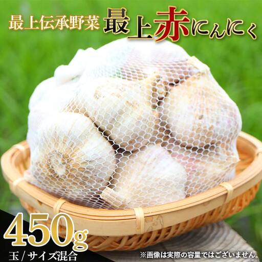 にんにく [先行予約・2026年発送] 最上伝承野菜 [最上赤にんにく] 450g(玉)(M、L、2Lサイズ混合) ニンニク 薬味 ガーリック