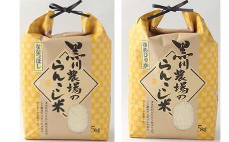 【6ヶ月定期便】らんこし米 食べ比べ （ななつぼし・ゆめぴりか）各5kg （黒川農場）【2024年10月下旬発送開始】お米 米 蘭越米