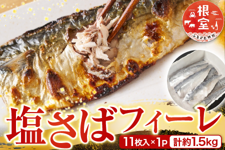 根室海鮮市場＜直送＞塩さばフィーレ11枚入×1P(計約1.5kg) G-28021