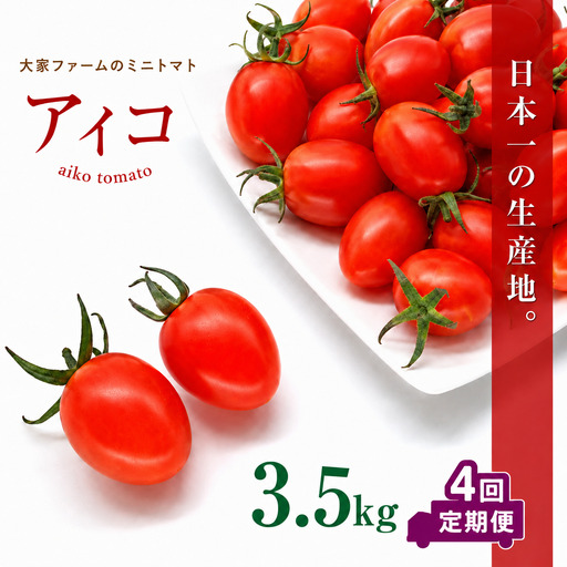 【定期4回】『大家ファーム』のミニトマト アイコ 3.5kg×4回 ｜ 野菜 やさい とまと トマト ミニトマト アイコ 熊本県 玉名市