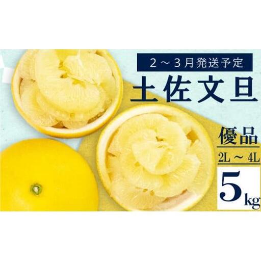 [2027年2月上旬から発送] 文旦 高知 5kg 優品 2L 〜 4L 浦ノ内特産 早期予約 予約受付中