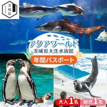 アクアワールド茨城県大洗水族館 年間パスポート(大人1名・幼児1名分)_旅行券・チケット 水族館 入場券・優待券 _[配送不可地域:離島・沖縄県]