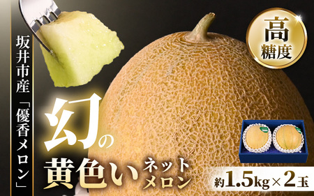 「ゆうかメロン」（青肉系メロン）2玉入り（1玉1.5kg前後） 2027年6月上旬以降発送 [A-19210]