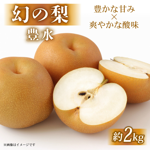 【先行予約】 梨 約2kg 彦根梨 豊水 梨