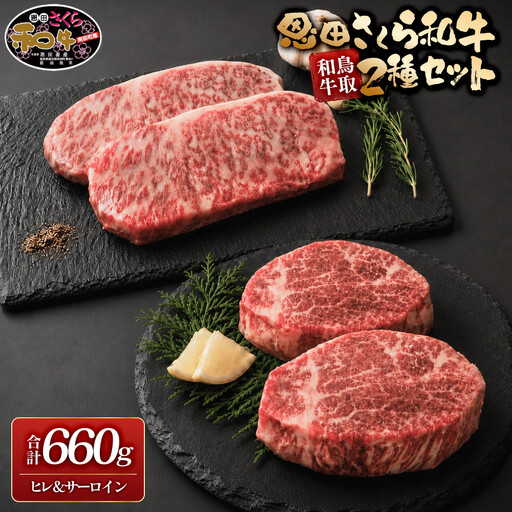 鳥取和牛恩田さくら和牛セット(ヒレ計300g・サーロイン計360g) [鳥取県 境港市]