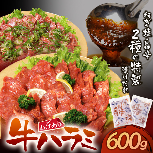 Z61-45 【訳あり】牛ハラミ肉2種(旨辛ダレ、ねぎ塩) 600g 牛肉