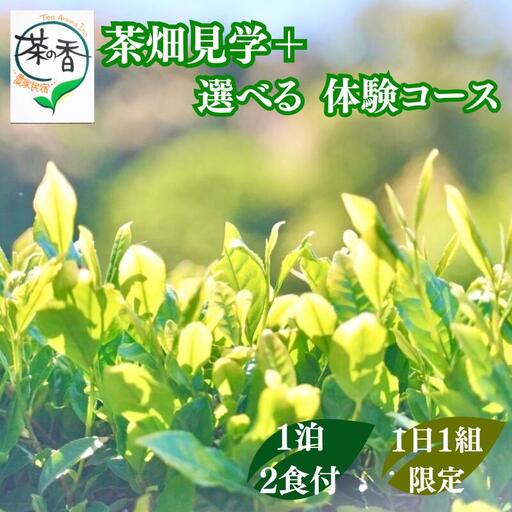 1日1組限定！！　茶畑見学＋選べる体験コース　1泊2日朝夕食事付 お1人様招待券 / 和歌山 田辺市 お茶 体験 宿泊 茶畑 飲み比べ 食事付 【ntc016】