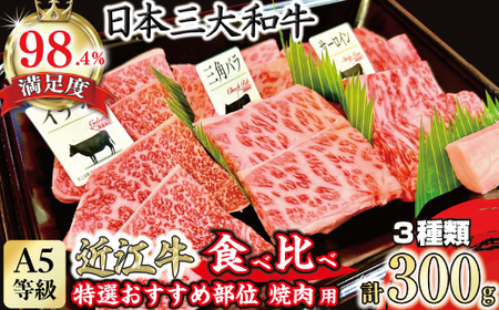 近江牛 焼肉 おすすめ部位 3種盛り 300g [FO29W][ 近江牛 ] 牛肉焼肉 A5