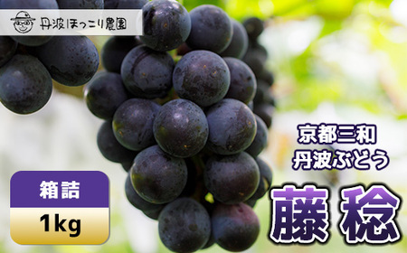 京都三和・丹波ぶどう(藤稔・1kg)ブドウ  フルーツ 果物