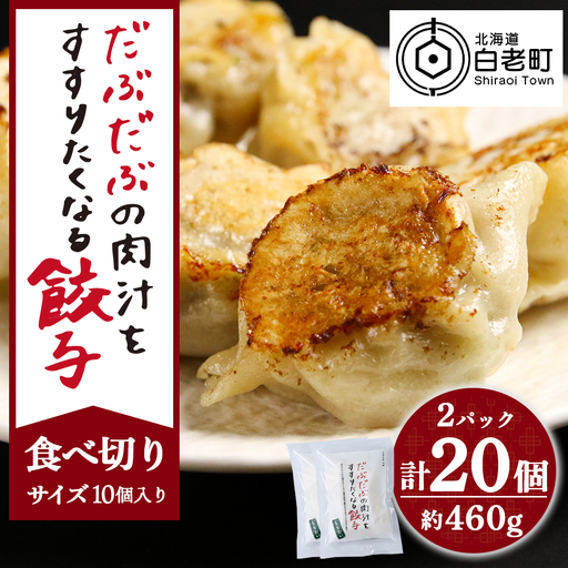 だぶだぶの肉汁をすすりたくなる餃子 20個（10個入×2パック） BE012