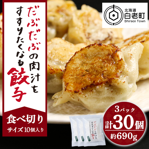 だぶだぶの肉汁をすすりたくなる餃子 30個（10個入×3パック） BE013