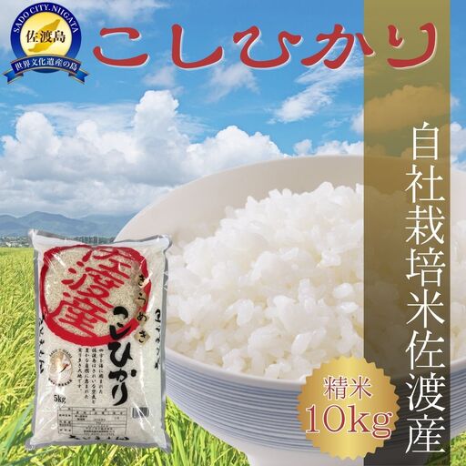 【令和7年米】自社栽培米佐渡産こしひかり（精米10kg）