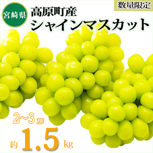 [数量限定]久保ぶどう園のシャインマスカット1.5kg(2〜3房) 果汁たっぷりの美味しい種なし葡萄