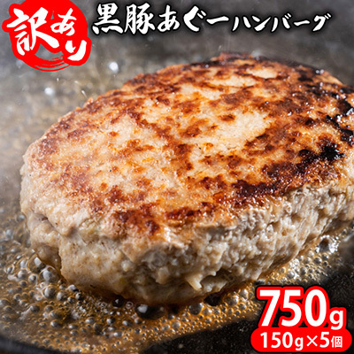 ハンバーグ【訳あり】あぐー豚肉ハンバーグ 750g