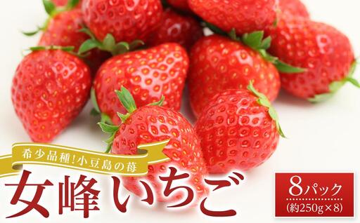 【2027年2月中旬より発送】希少品種！小豆島の苺「女峰」8パック(1パック約250g) |フルーツ イチゴ 旬 いちご 美味しい 苺 新鮮 フルーツ 小豆島 詰合せ 苺 セット フルーツ 人気 イチゴ フルーツ 厳選 おすすめ いちご フルーツ 小豆島