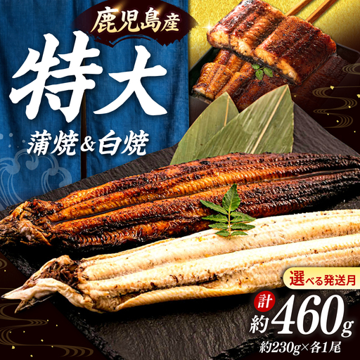 鹿児島産 うなぎ 2尾 蒲焼・白焼 食べ比べ セット 特製秘伝のタレ付き! 桂川町/山水商事 [ADAH007] うなぎ 蒲焼き 白焼き セット 九州