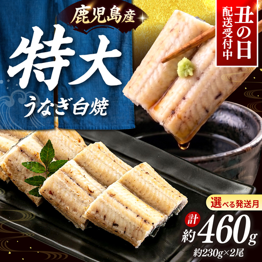 鹿児島県産 特上うなぎ 白焼き 2尾 [ADAH009] 白焼き