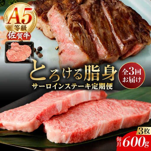 【3回定期便】A5等級 佐賀牛 サーロインステーキ 600g /ナチュラルフーズ [UBH106] ステーキ