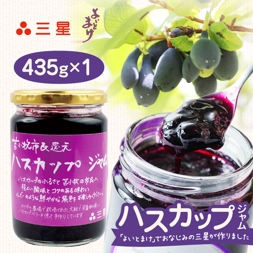 カナダ産 苫小牧市民還元 ハスカップジャム 435g（1瓶） T044-017 果物 加工品
