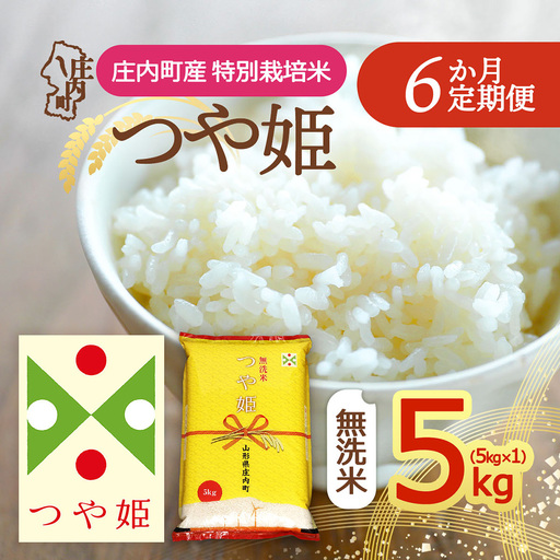 【定期便】＜令和8年産＞特別栽培米 つや姫 無洗米 5kgを6ヶ月間 5kg×1袋 毎月お届け 山形県 庄内町産 余目産 庄内米 ブランド米 米 お米の定期便 ごはん 粘り 甘み 香り 粒が大きい【11月下旬発送】
