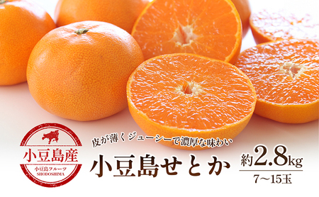 せとか 小豆島せとか 瀬戸香 柑橘 フルーツ せとか【約2.8kg】