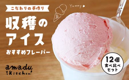 収穫のアイス おすすめフレーバー食べ比べ12個セット(ミルク・イチゴ・ほうじ茶・抹茶・丹波栗・丹波黒豆×各2カップ) ふるさと納税 福知山市 スイーツ アイス アイスクリーム こだわり 手作り 12個 食べ比べ セット 季節 ミルク イチゴ ほうじ茶 抹茶 丹波栗 丹波黒豆 ヒラヤミルク 自家製 無着色 【fc-CP003】【あまづキッチン】