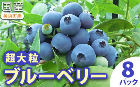 [2027年先行予約]愛知県美浜町産 超大粒ブルーベリー 約100g×8パック