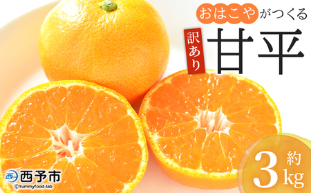 ＜訳あり おはこやがつくる 甘平 約3kg＞ ワケアリ 家庭用 果物 くだもの 果実 フルーツ 柑橘類 かんぺい カンペイ みかん ミカン 蜜柑 特産品 西宇和 愛媛県 西予市 【常温】『2027年1月下旬～2月上旬迄に順次出荷迄に順次出荷予定』MOK0016